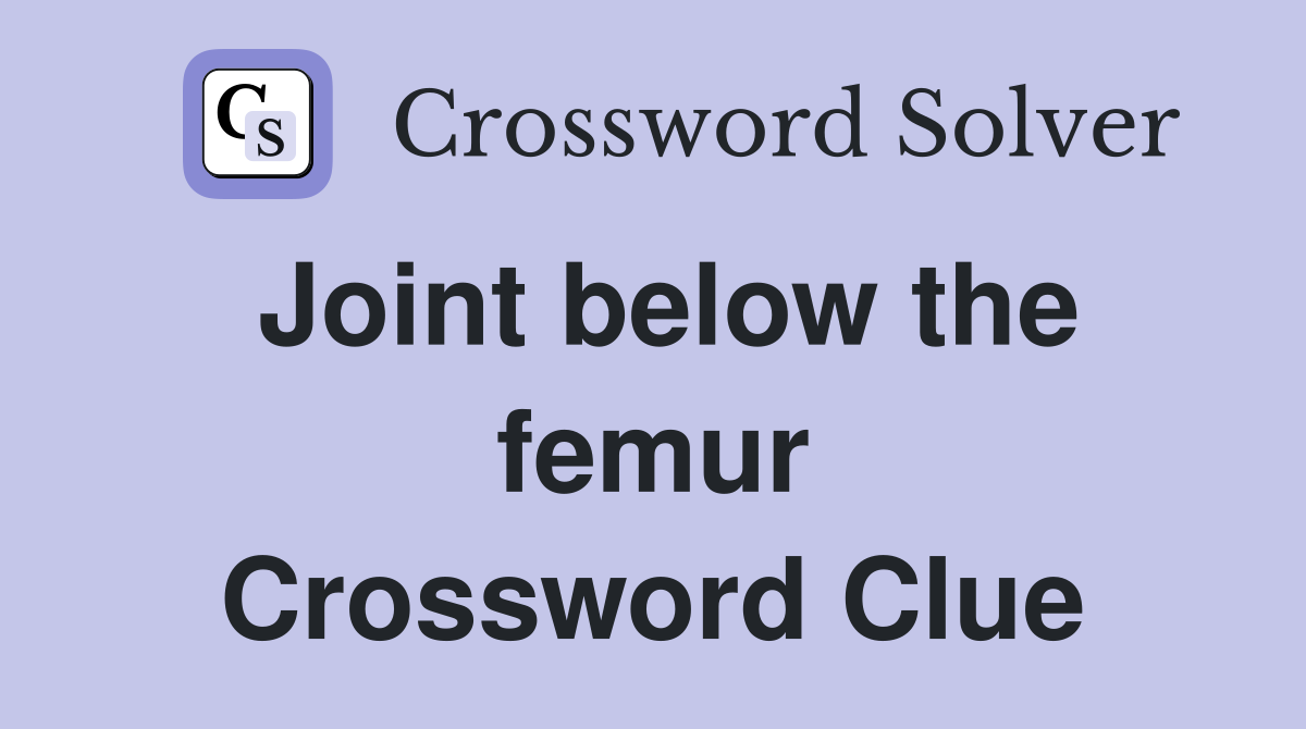 Joint below the femur Crossword Clue