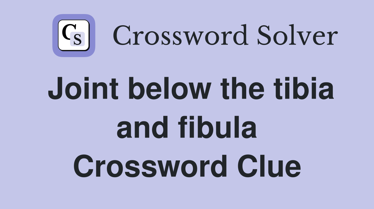 Joint below the tibia and fibula Crossword Clue