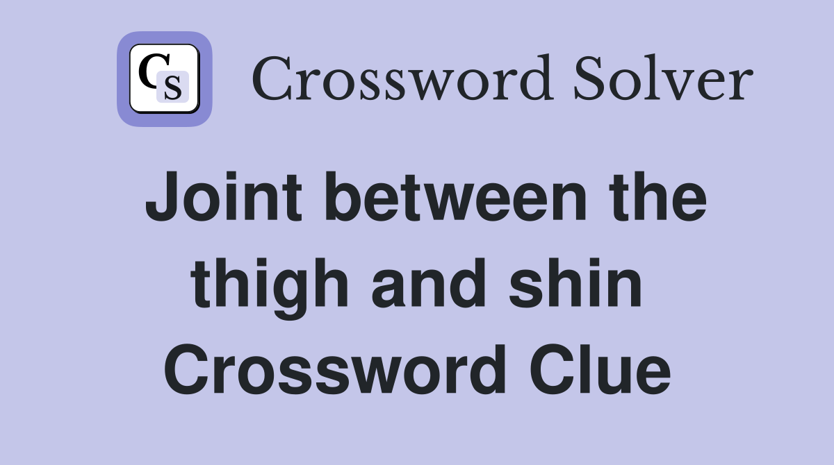 Joint between the thigh and shin Crossword Clue