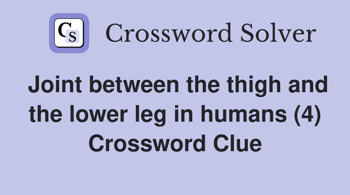 Joint between the thigh and the lower leg in humans (4) Crossword Clue