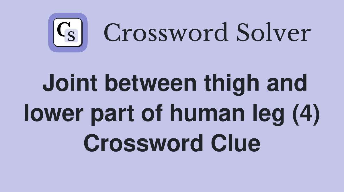 Joint between thigh and lower part of human leg (4) Crossword Clue
