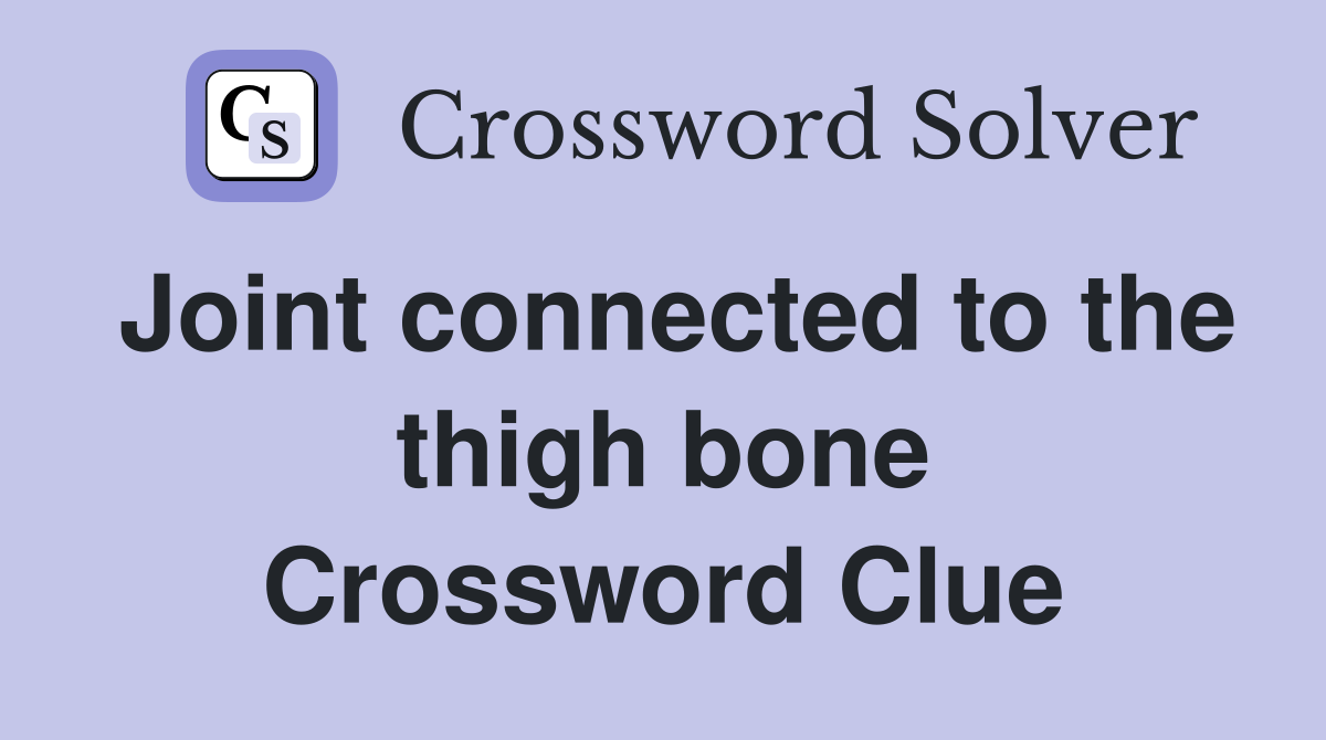 Joint connected to the thigh bone Crossword Clue