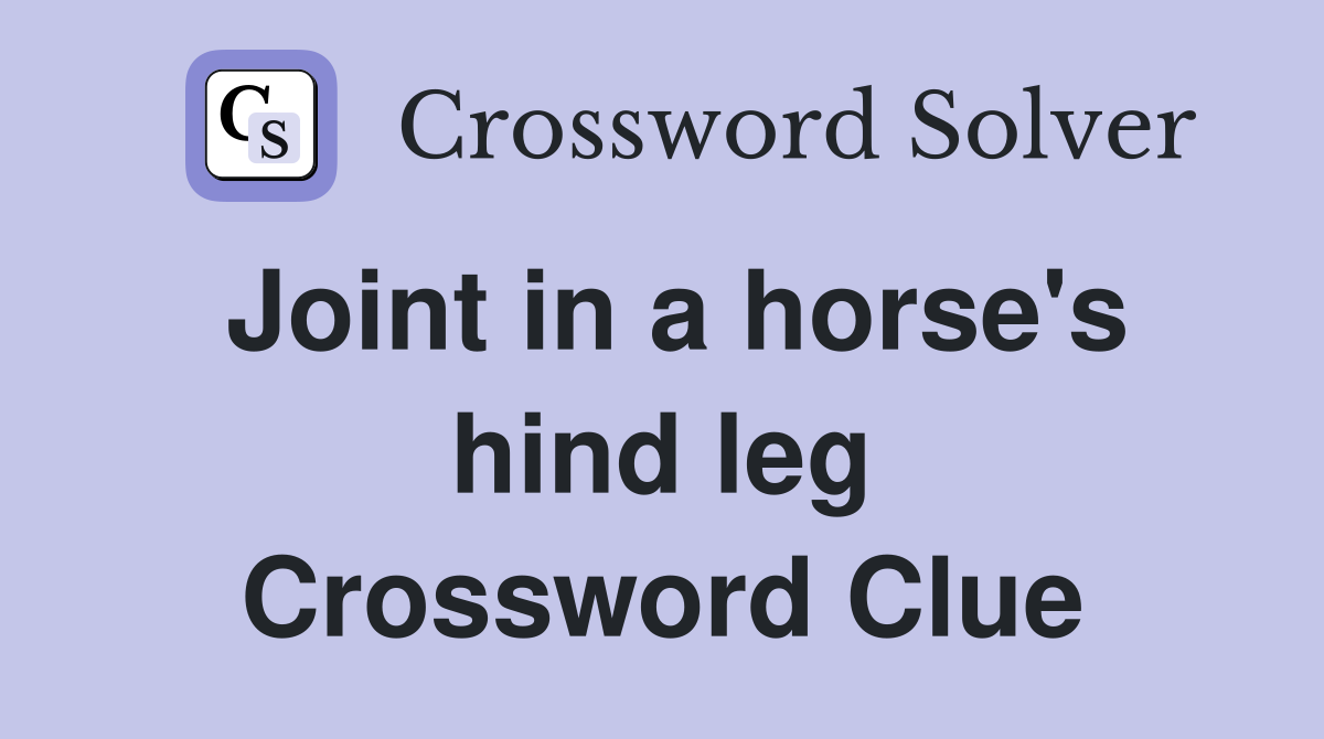 Joint in a horse's hind leg Crossword Clue