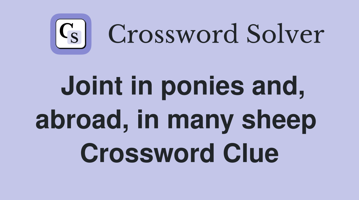 Joint in ponies and, abroad, in many sheep  Crossword Clue