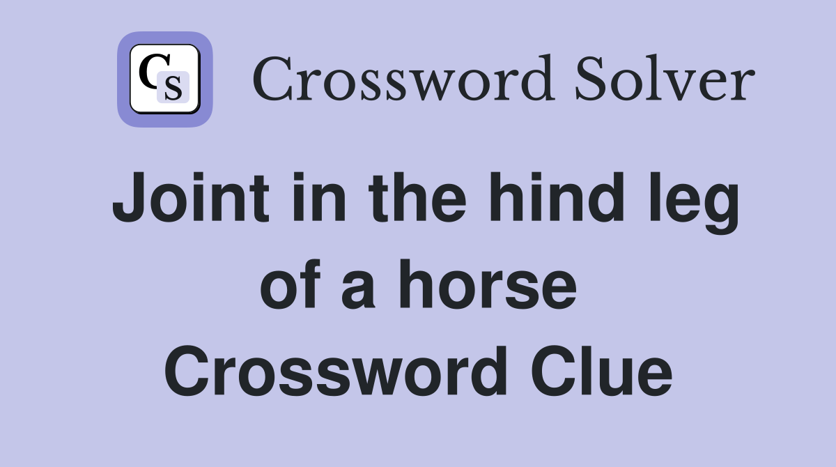 Joint in the hind leg of a horse Crossword Clue