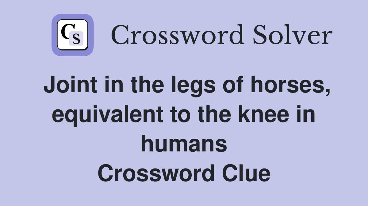 Joint in the legs of horses, equivalent to the knee in humans Crossword Clue