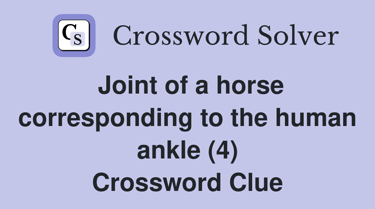 Joint of a horse corresponding to the human ankle (4) Crossword Clue