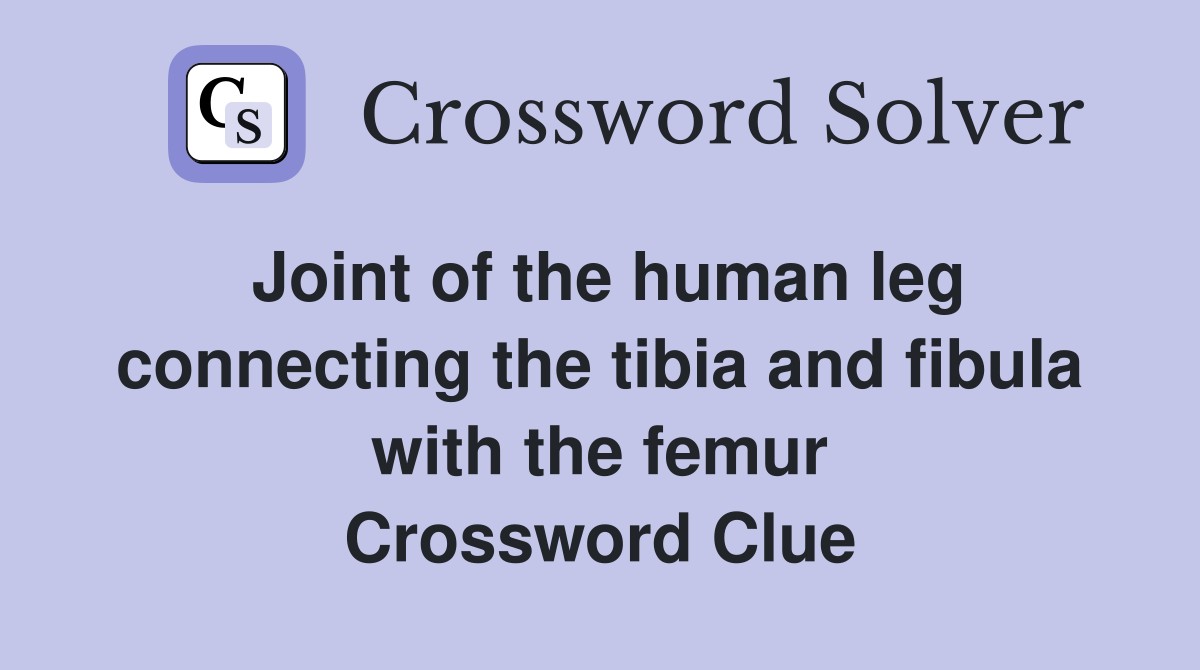 Joint of the human leg connecting the tibia and fibula with the femur Crossword Clue