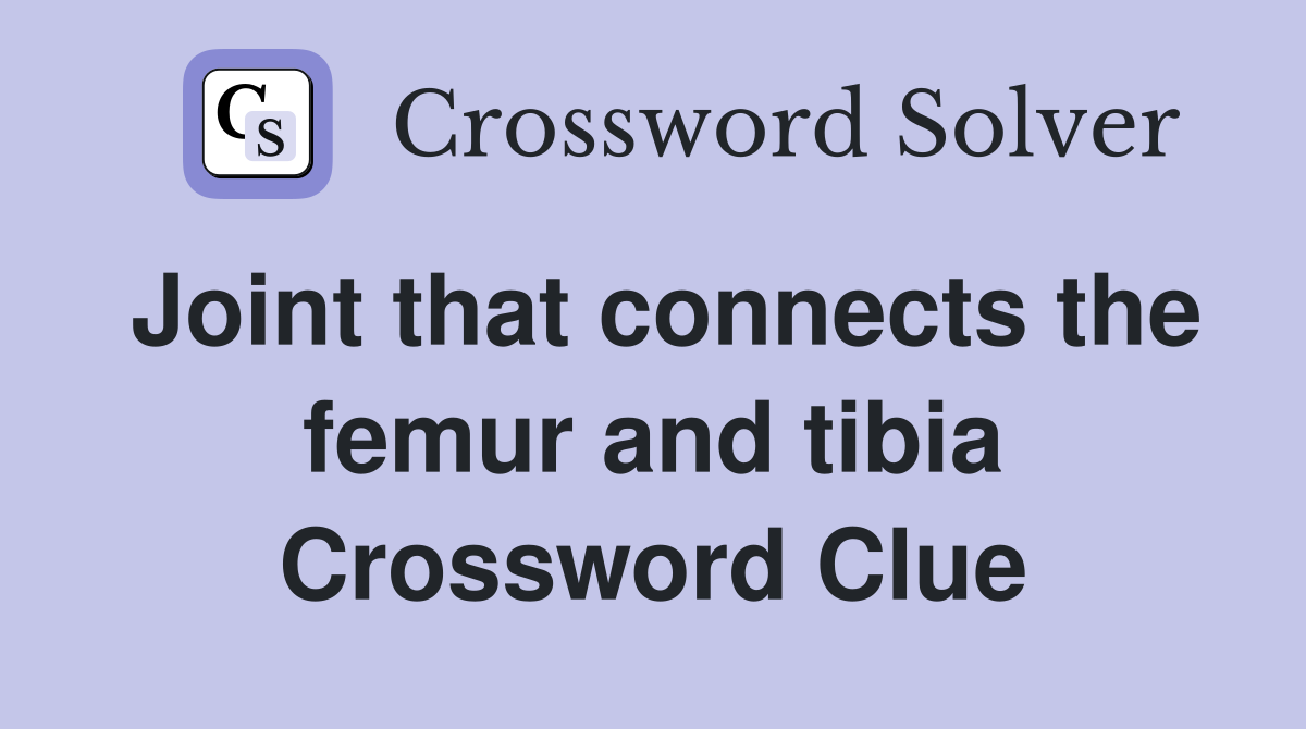 Joint that connects the femur and tibia Crossword Clue