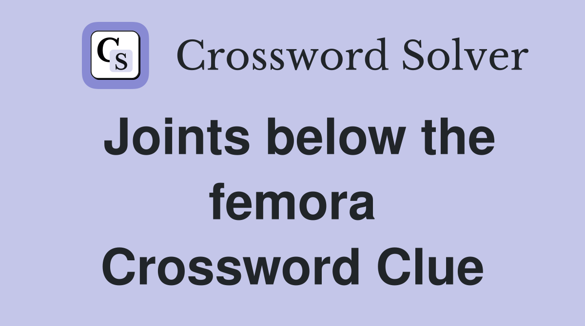 Joints below the femora Crossword Clue