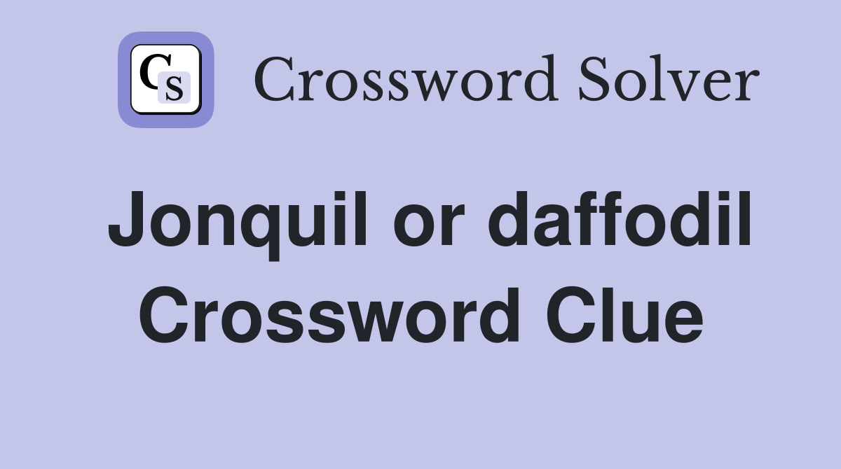 Jonquil or daffodil Crossword Clue