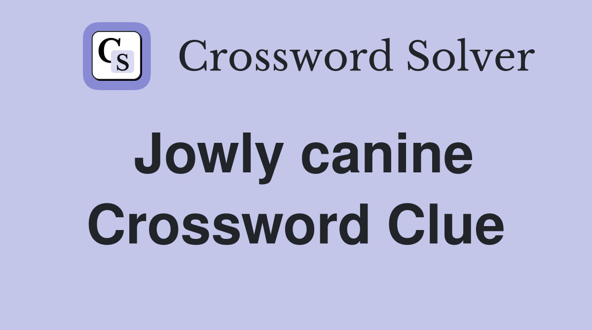 Jowly canine Crossword Clue
