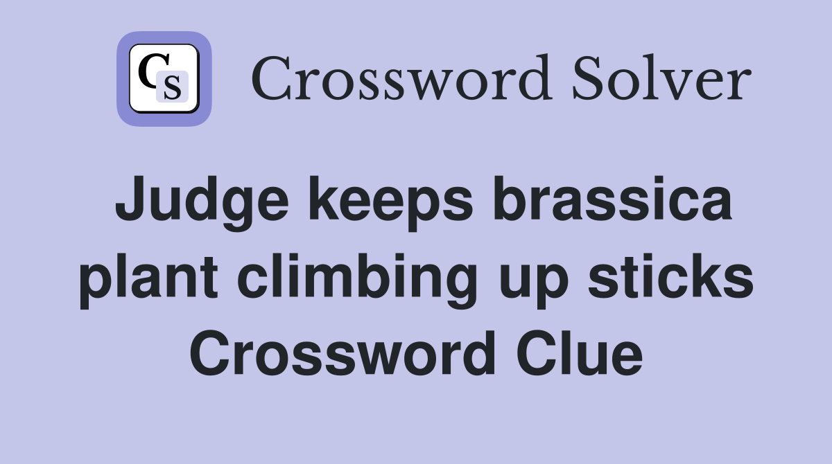 Judge keeps brassica plant climbing up sticks Crossword Clue