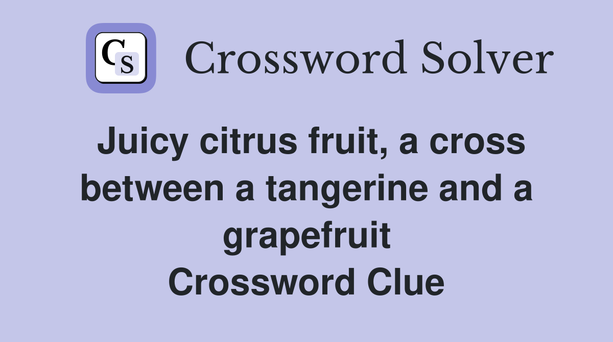 Juicy citrus fruit, a cross between a tangerine and a grapefruit Crossword Clue