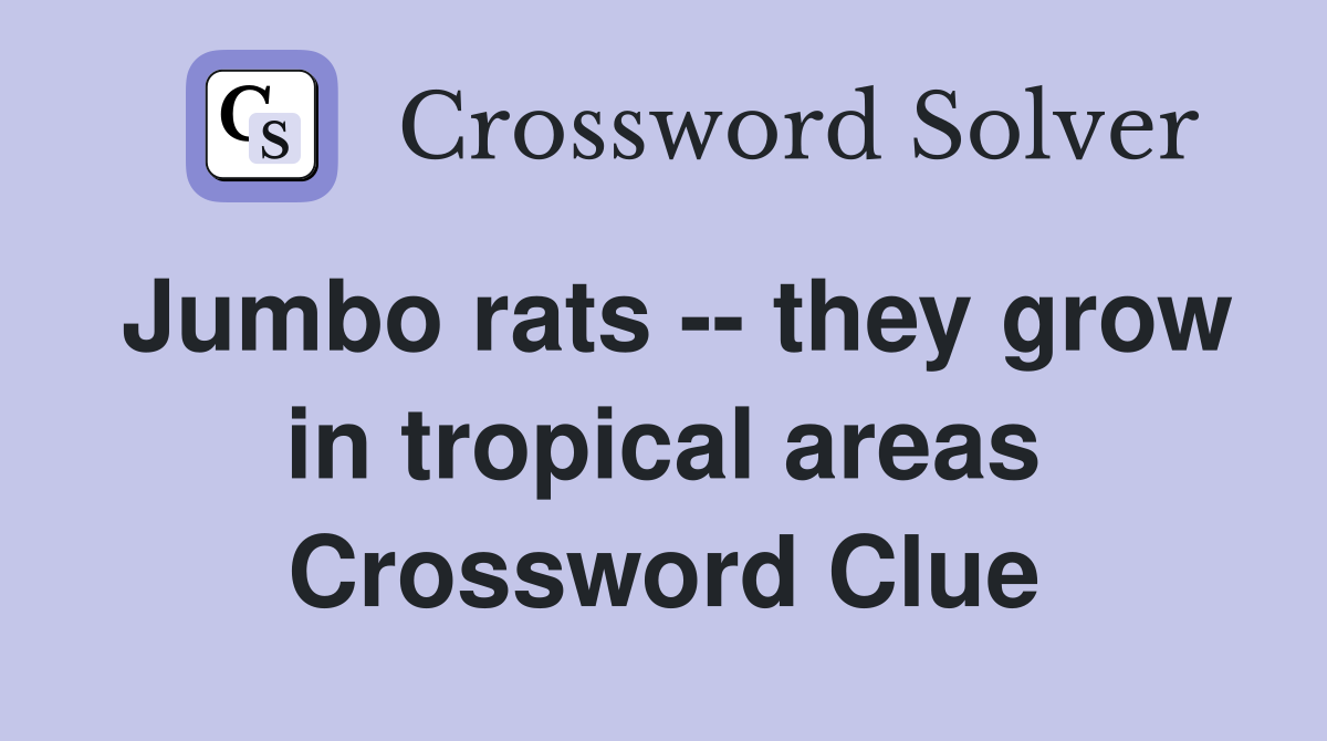 Jumbo rats -- they grow in tropical areas Crossword Clue