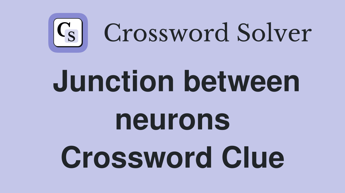 Junction between neurons Crossword Clue