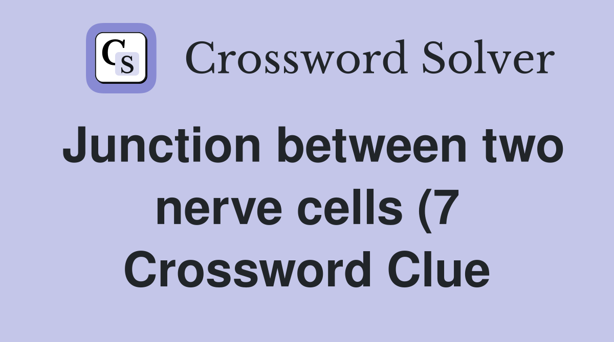 Junction between two nerve cells (7) Crossword Clue Answers Junction between two nerve cells (7) Crossword Clue Answers
