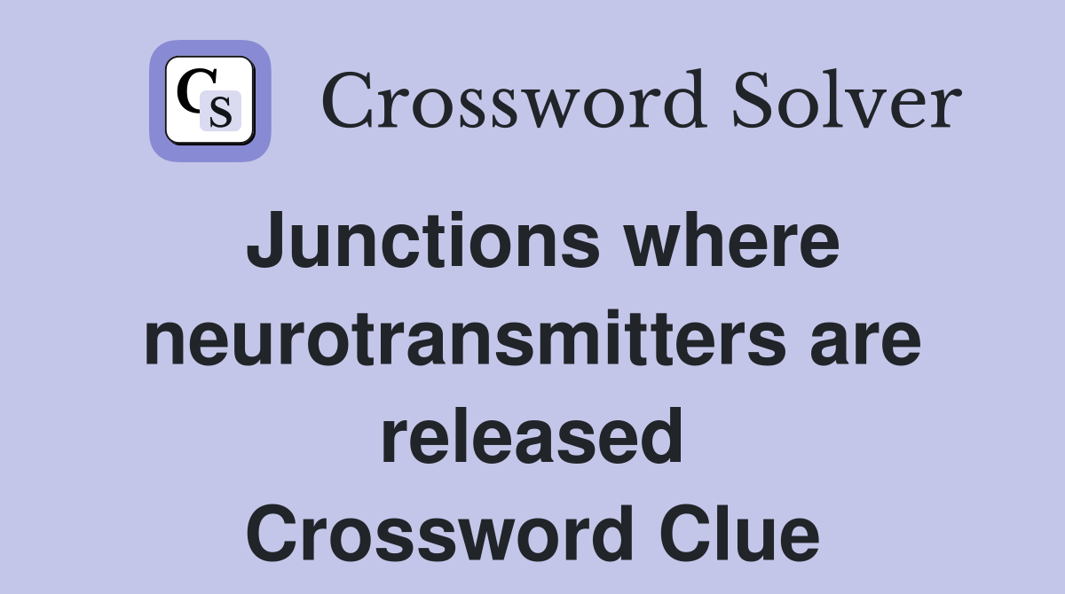 Junctions where neurotransmitters are released Crossword Clue