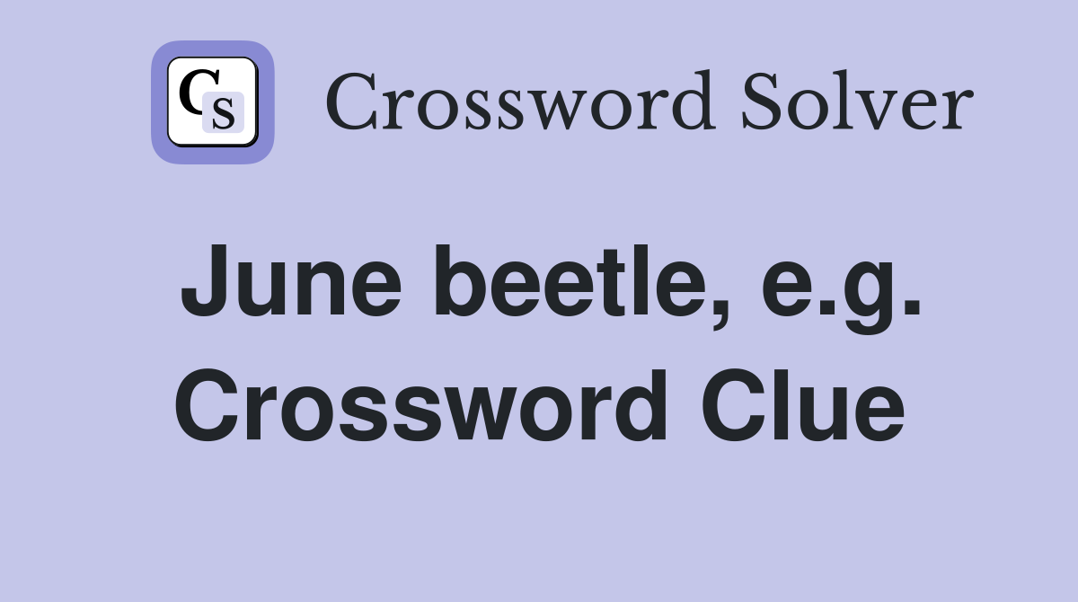 June beetle, e.g. Crossword Clue