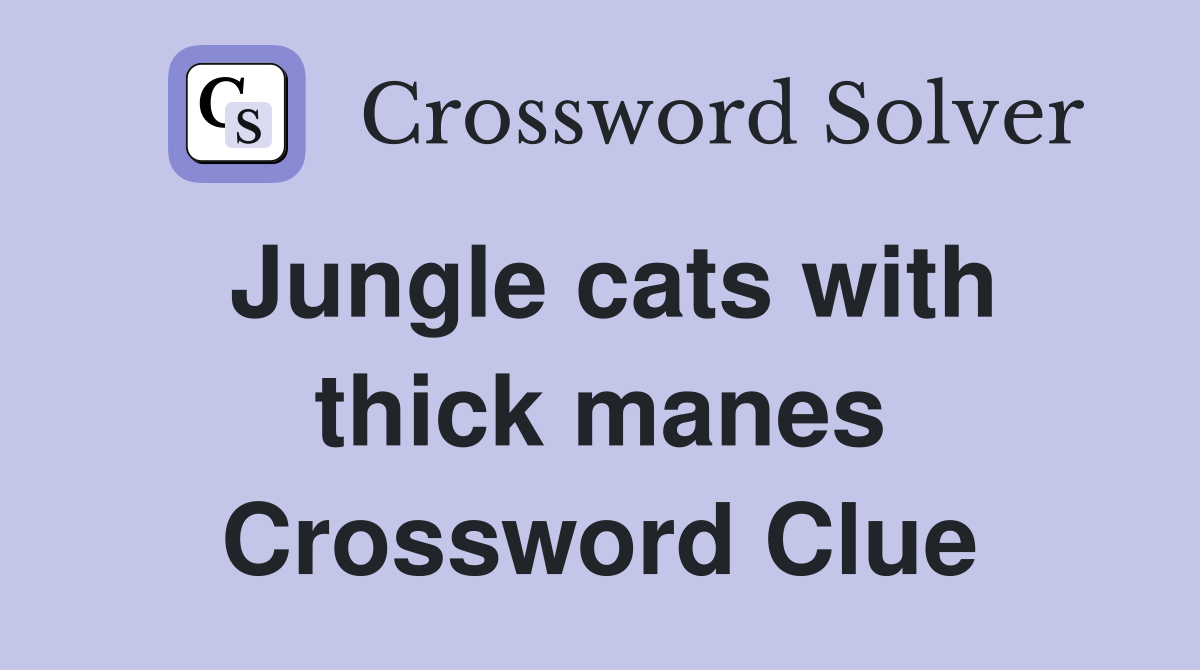 Jungle cats with thick manes Crossword Clue