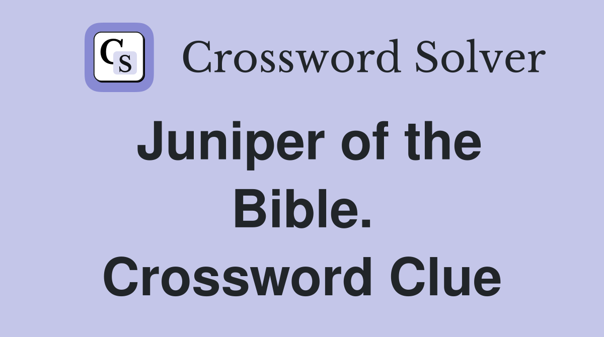 Juniper of the Bible. Crossword Clue