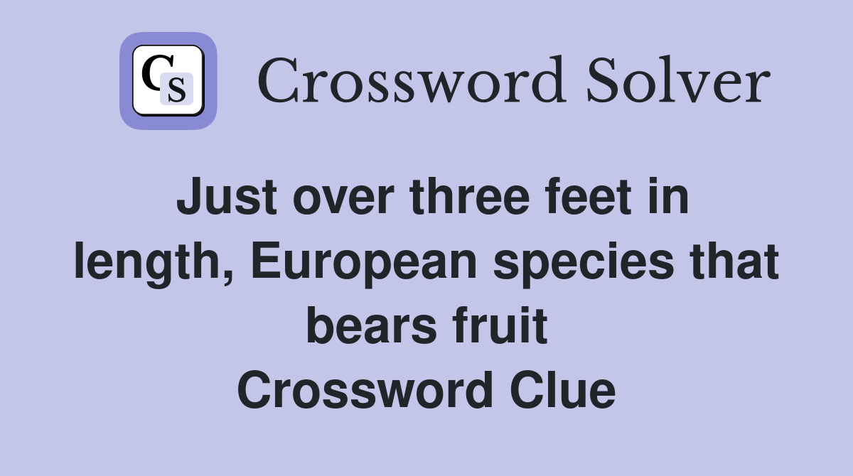 Just over three feet in length, European species that bears fruit Crossword Clue
