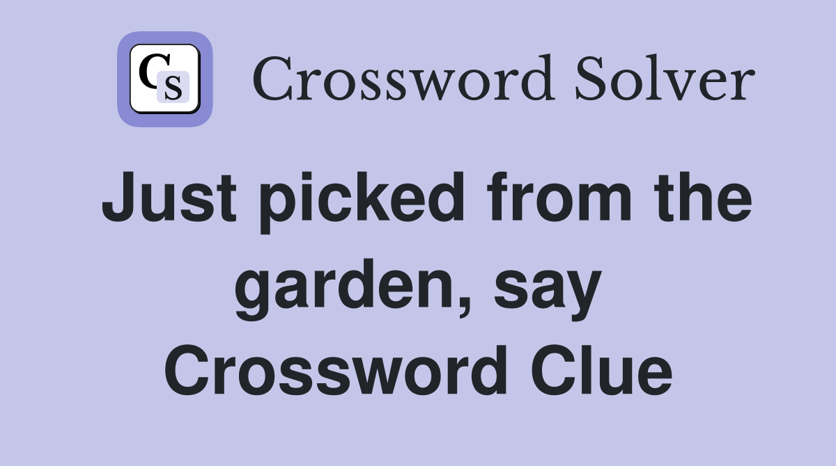 Just picked from the garden, say Crossword Clue
