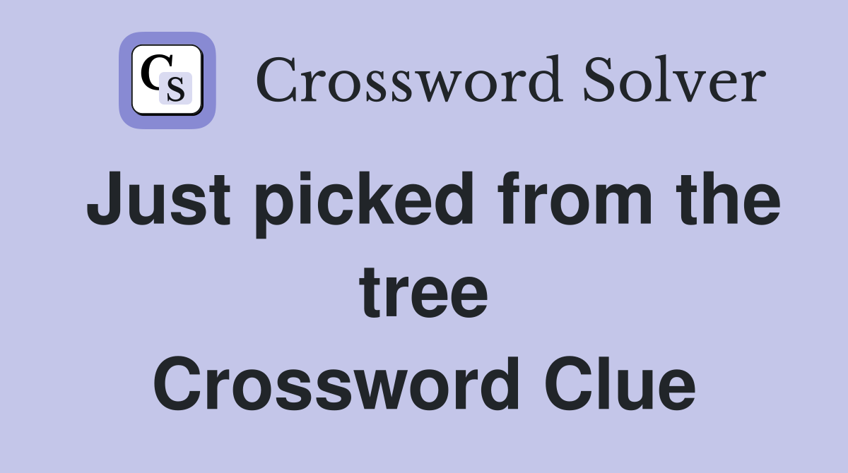 Just picked from the tree Crossword Clue