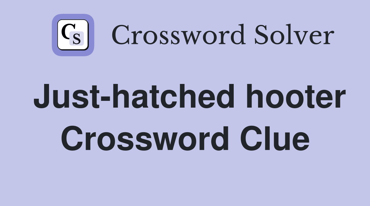 Just-hatched hooter Crossword Clue
