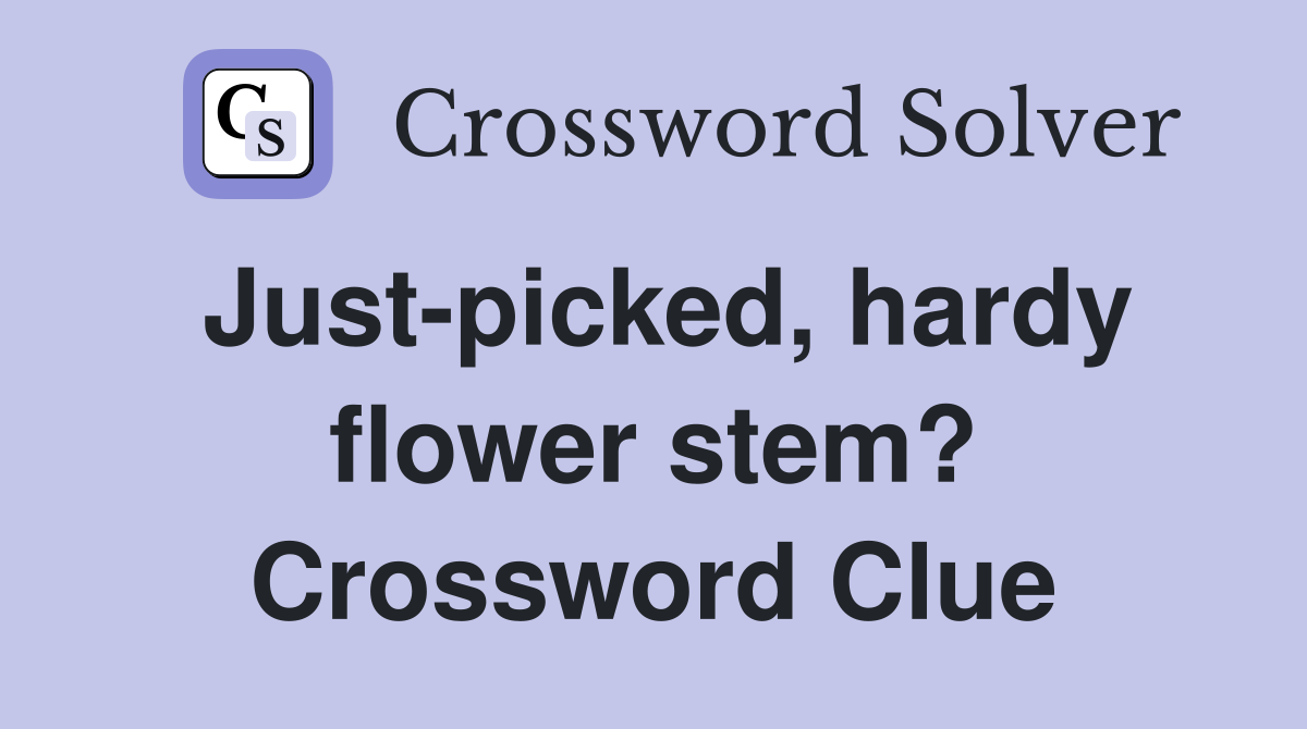 Just-picked, hardy flower stem? Crossword Clue