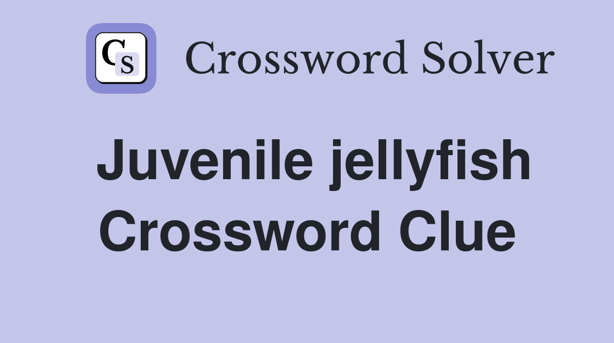 Juvenile jellyfish Crossword Clue