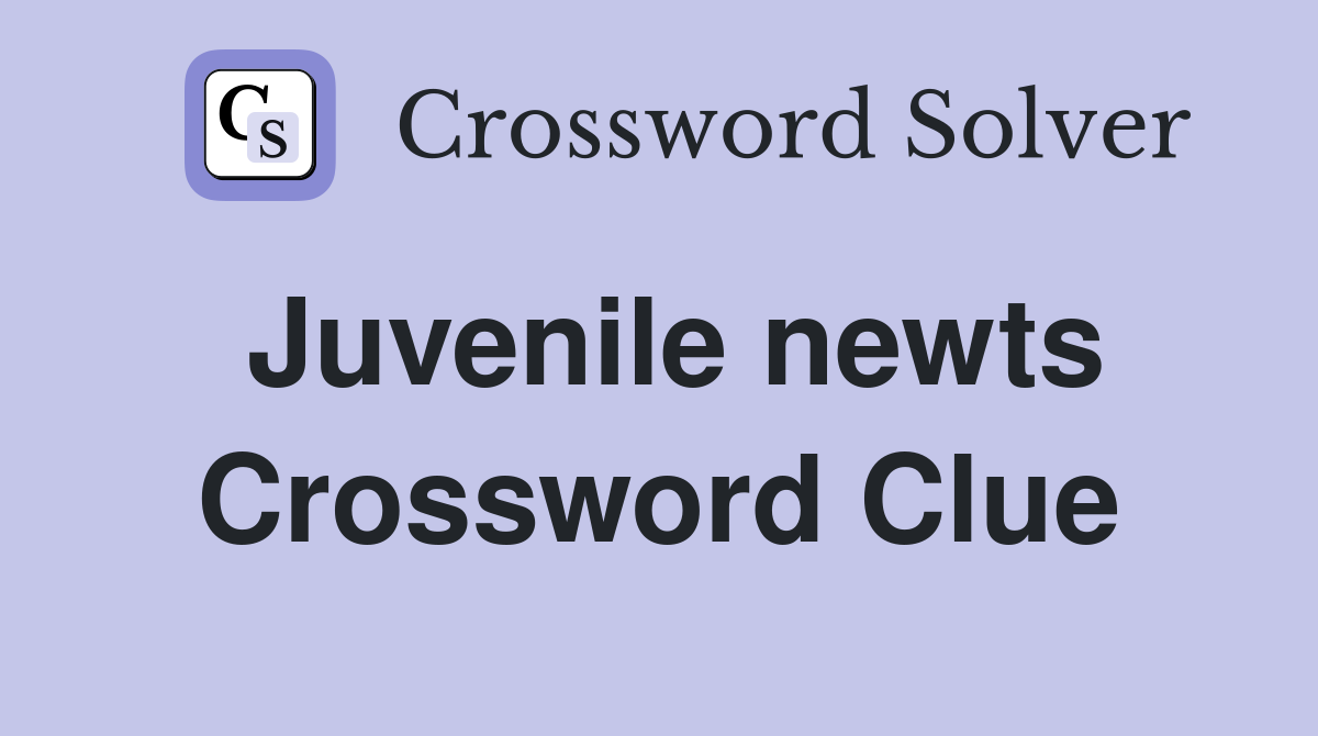 Juvenile newts Crossword Clue
