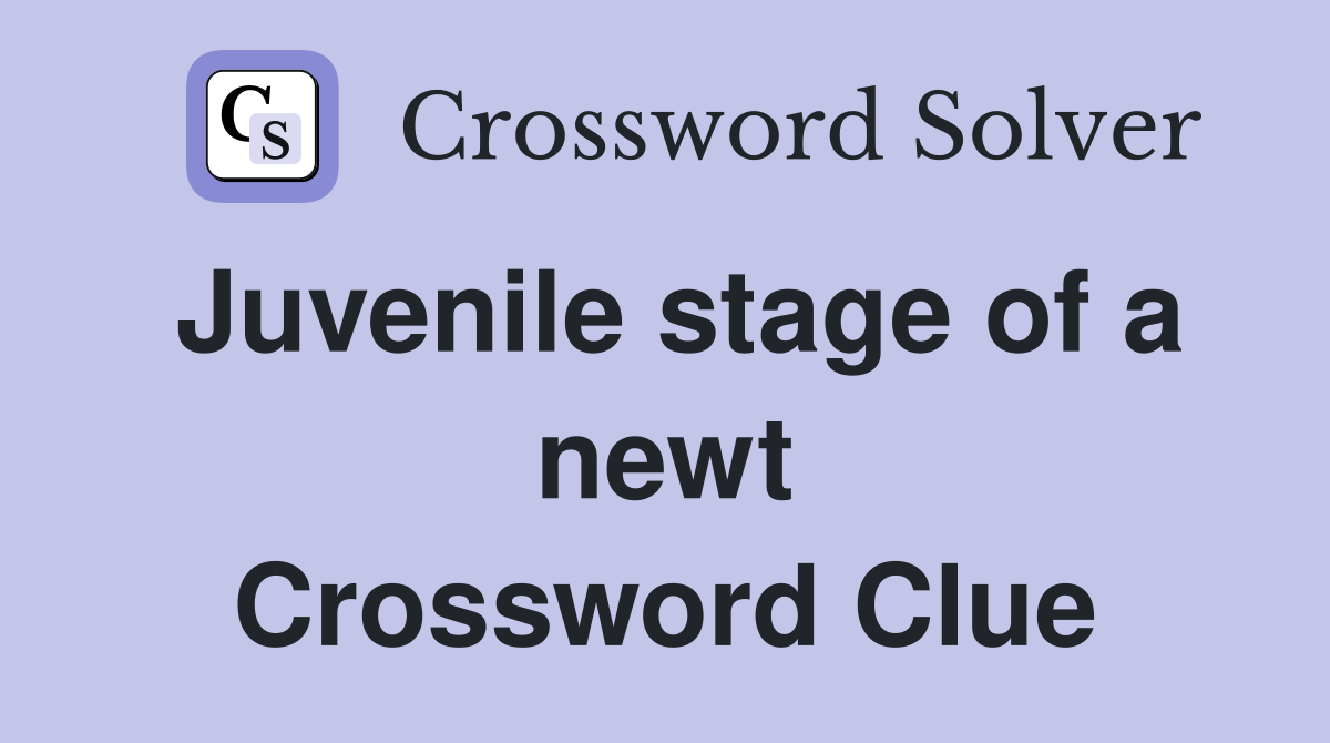 Juvenile stage of a newt Crossword Clue