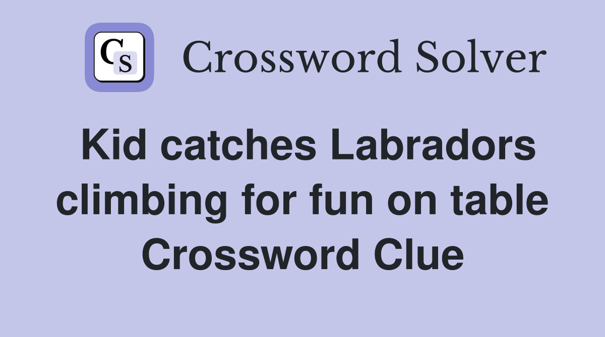 Kid catches Labradors climbing for fun on table Crossword Clue