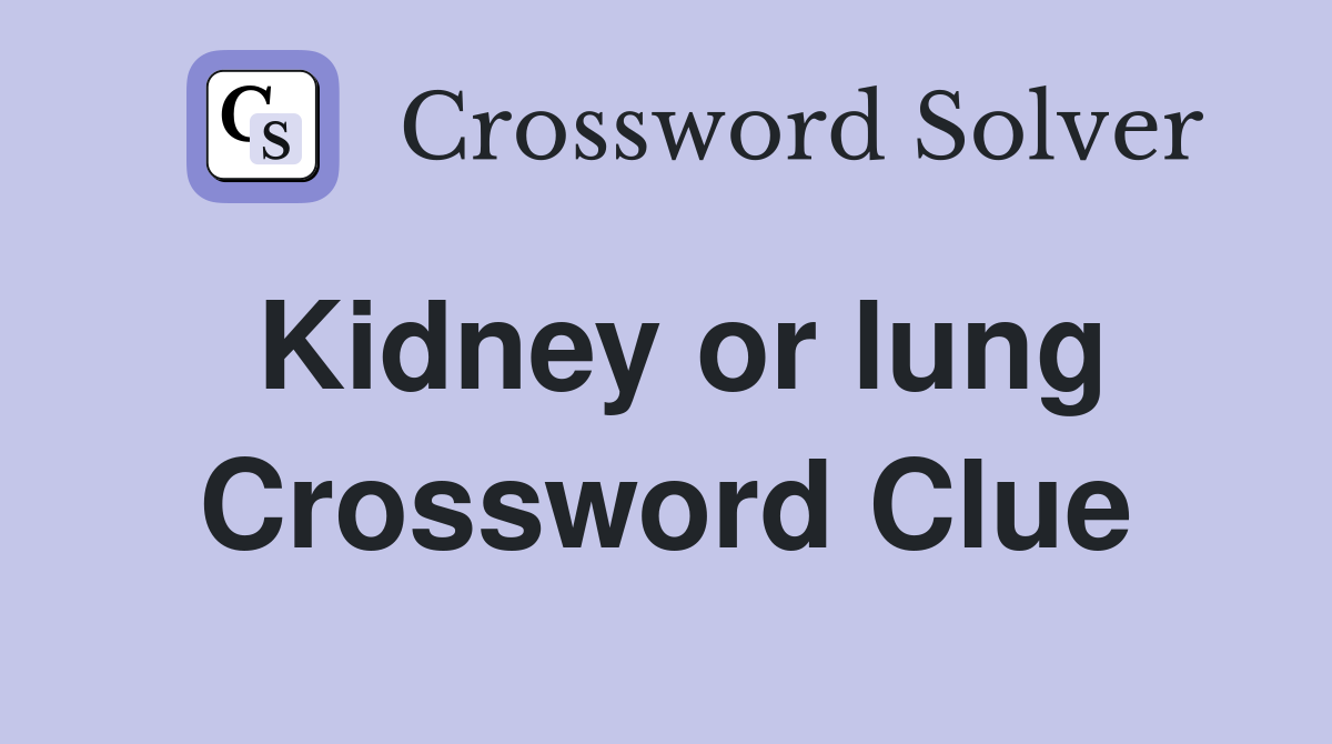 Kidney or lung Crossword Clue
