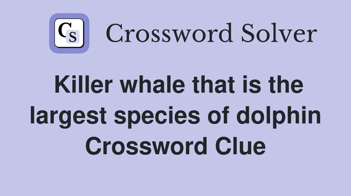 Killer whale that is the largest species of dolphin Crossword Clue