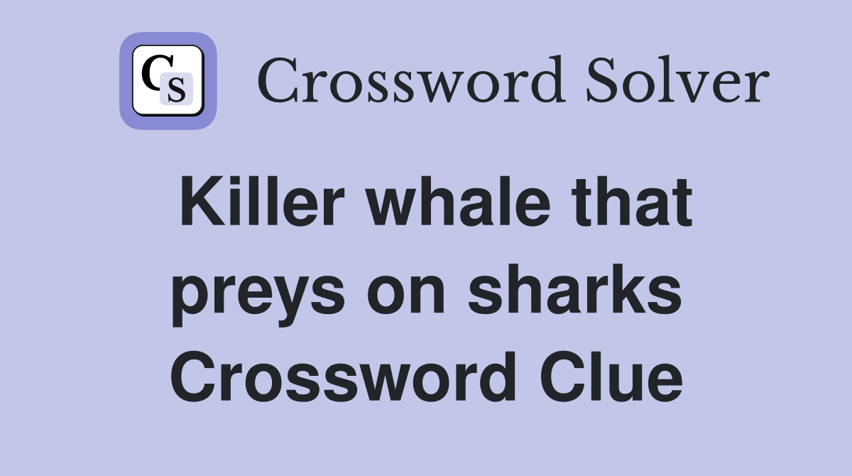 Killer whale that preys on sharks Crossword Clue