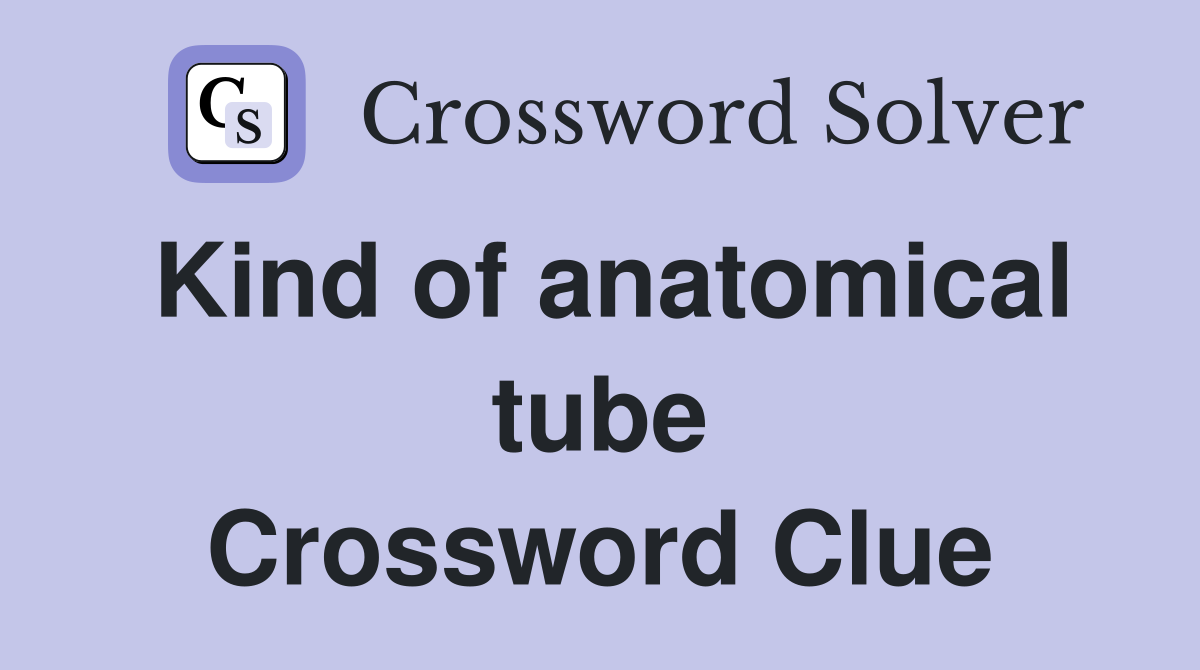Kind of anatomical tube Crossword Clue