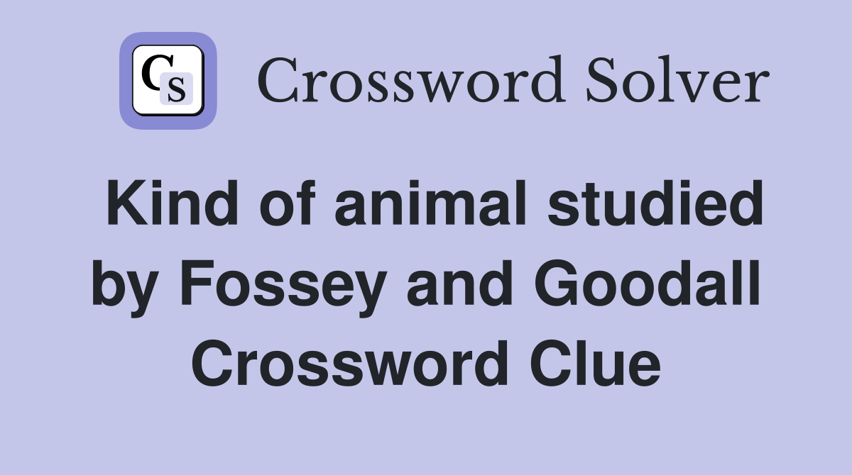 Kind of animal studied by Fossey and Goodall Crossword Clue