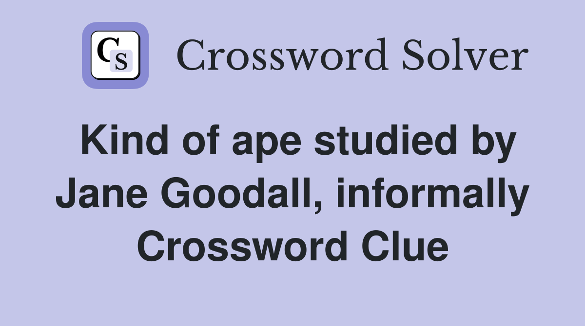 Kind of ape studied by Jane Goodall, informally Crossword Clue