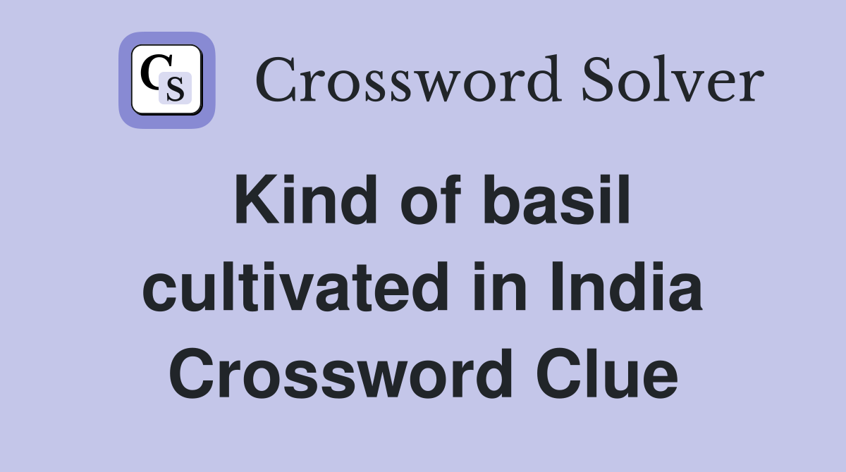 Kind of basil cultivated in India Crossword Clue