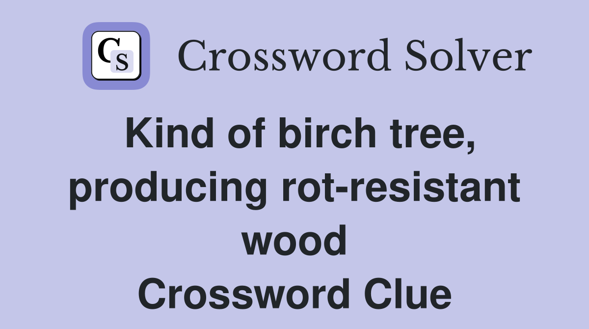 Kind of birch tree, producing rot-resistant wood Crossword Clue
