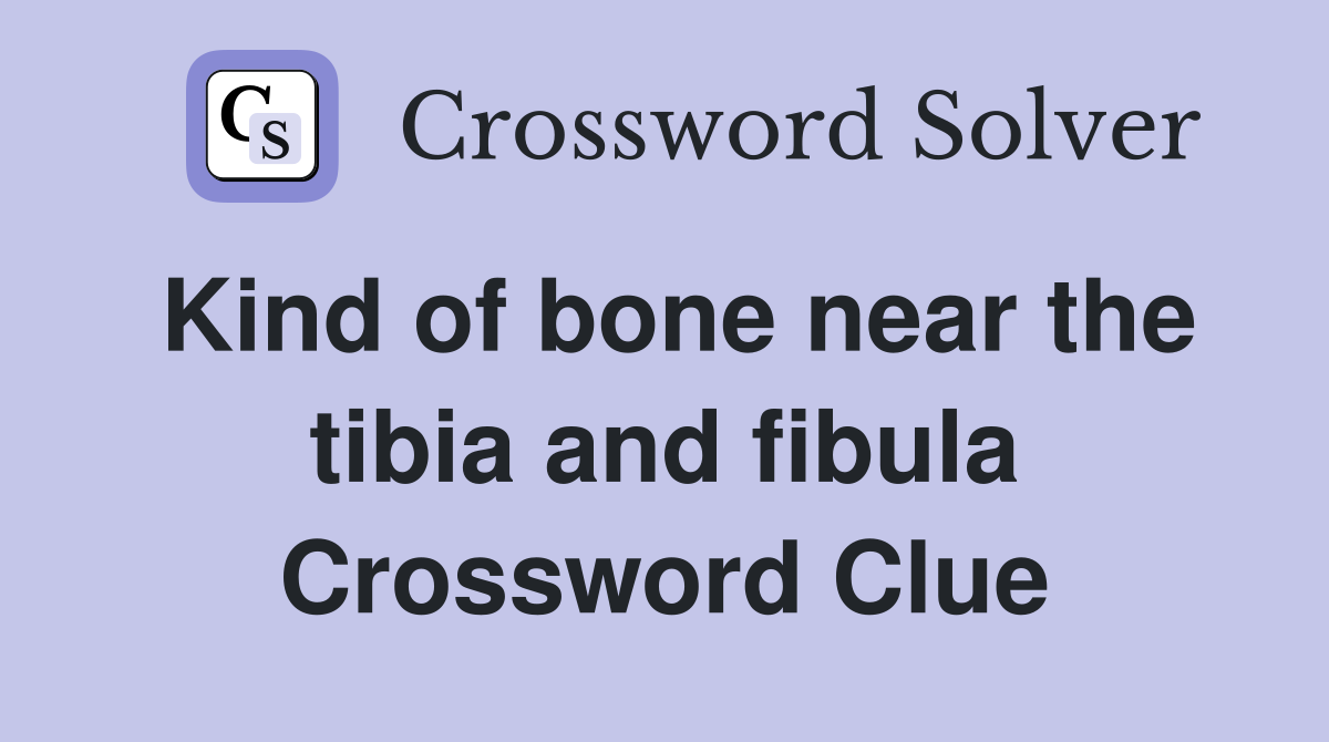 Kind of bone near the tibia and fibula Crossword Clue