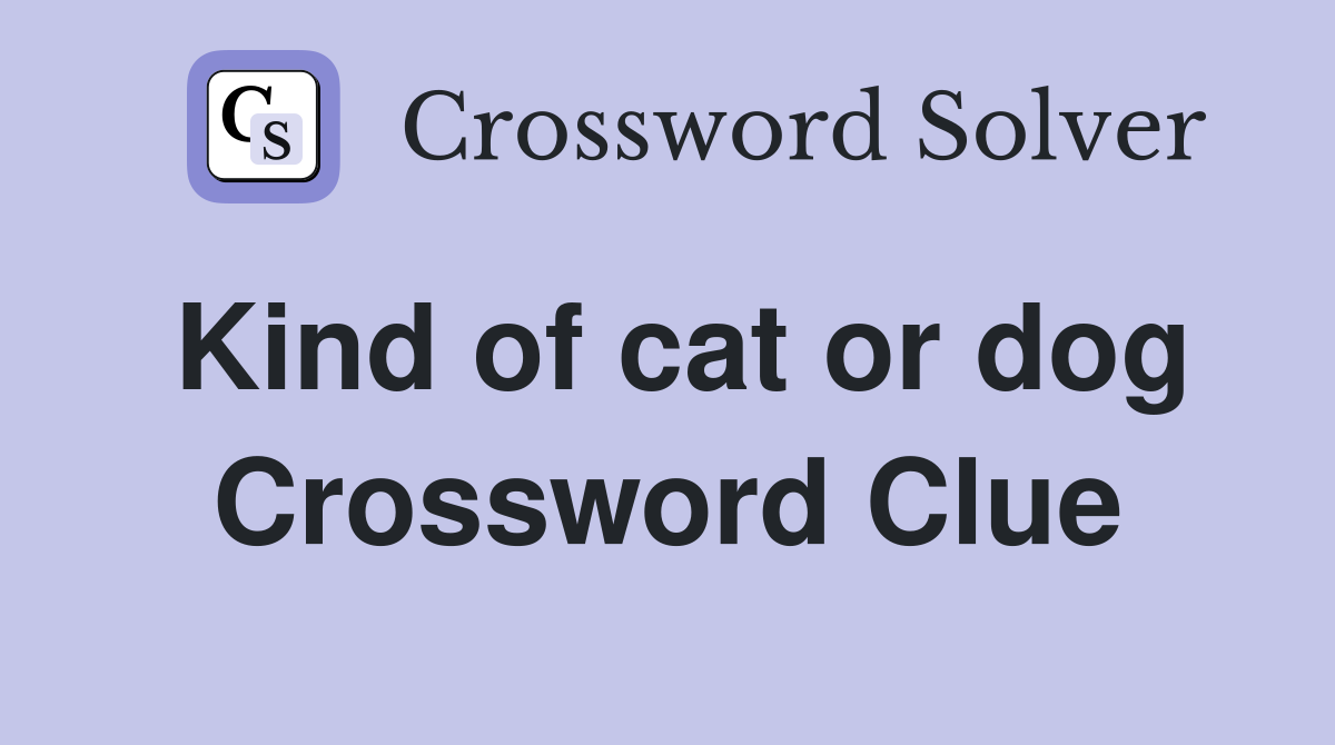 Kind of cat or dog Crossword Clue