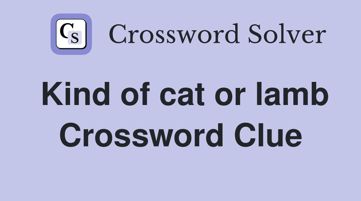 Kind of cat or lamb Crossword Clue