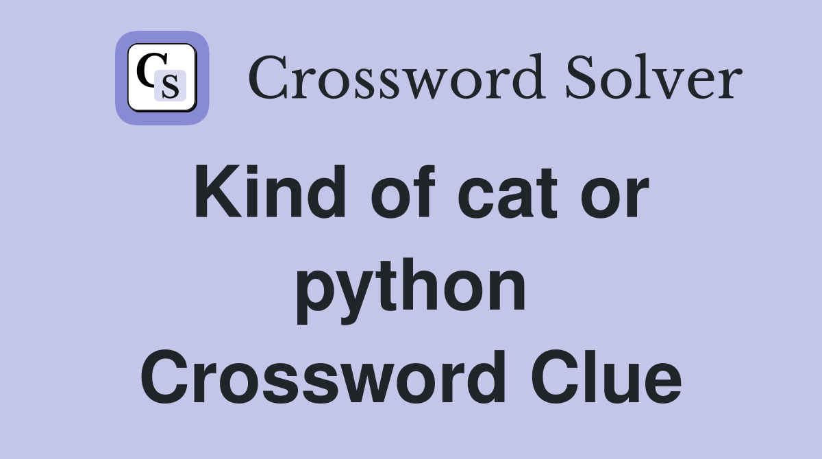 Kind of cat or python Crossword Clue