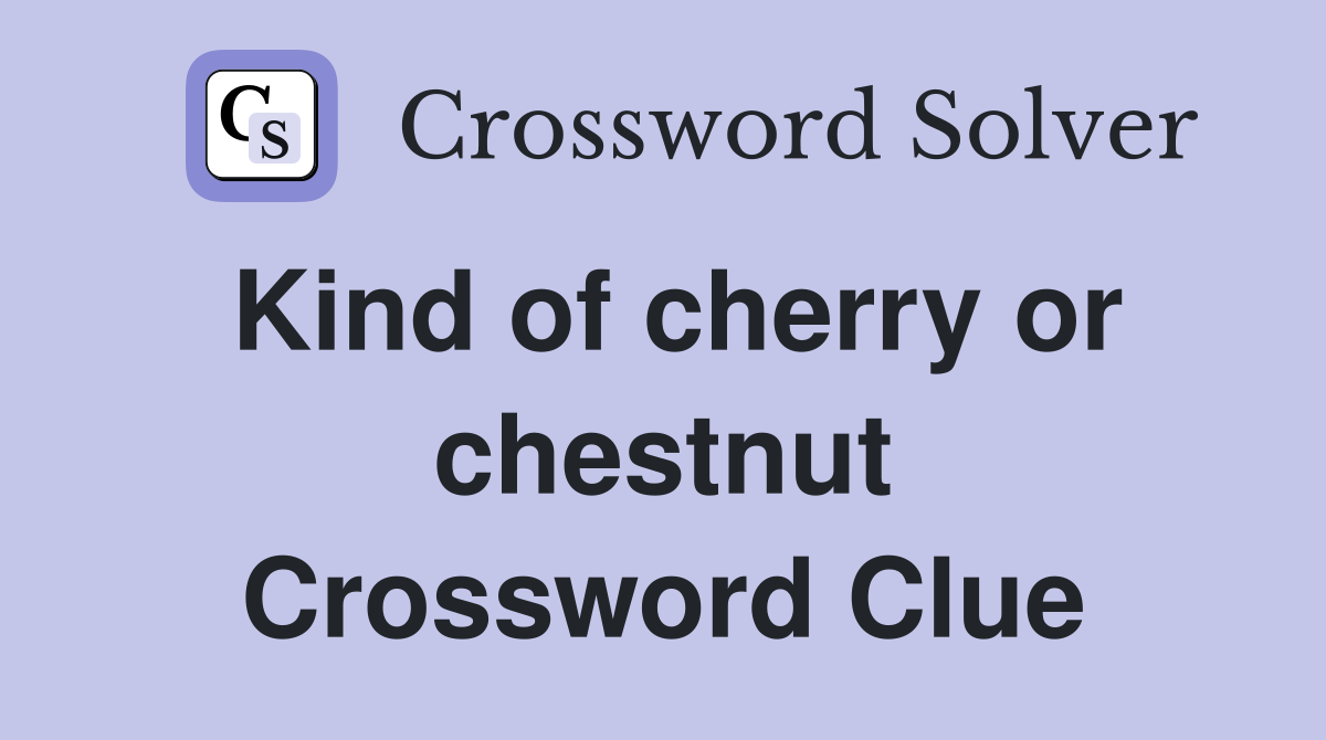 Kind of cherry or chestnut Crossword Clue