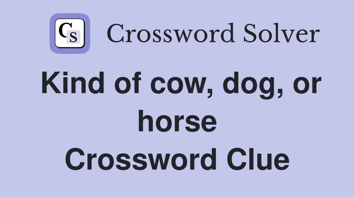 Kind of cow, dog, or horse Crossword Clue