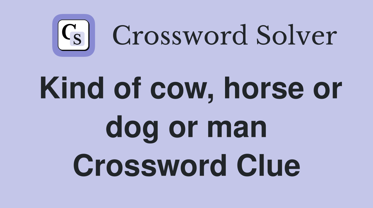 Kind of cow, horse or dog or man Crossword Clue