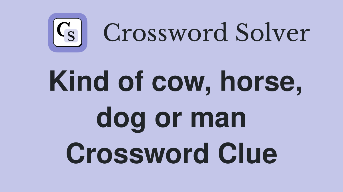 Kind of cow, horse, dog or man Crossword Clue